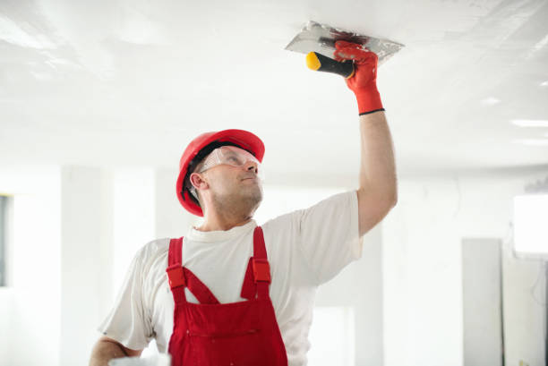 Mount Pulaski, IL Drywall & Painting Services Company